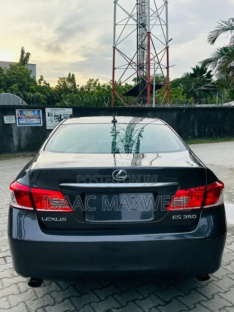 Lexus ES 350 2010 Brown