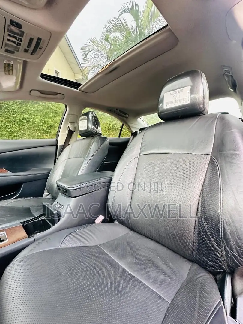 Lexus ES 350 2010 Brown