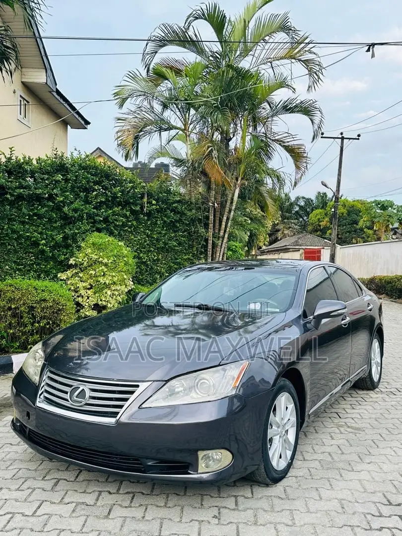 Lexus ES 350 2010 Gray