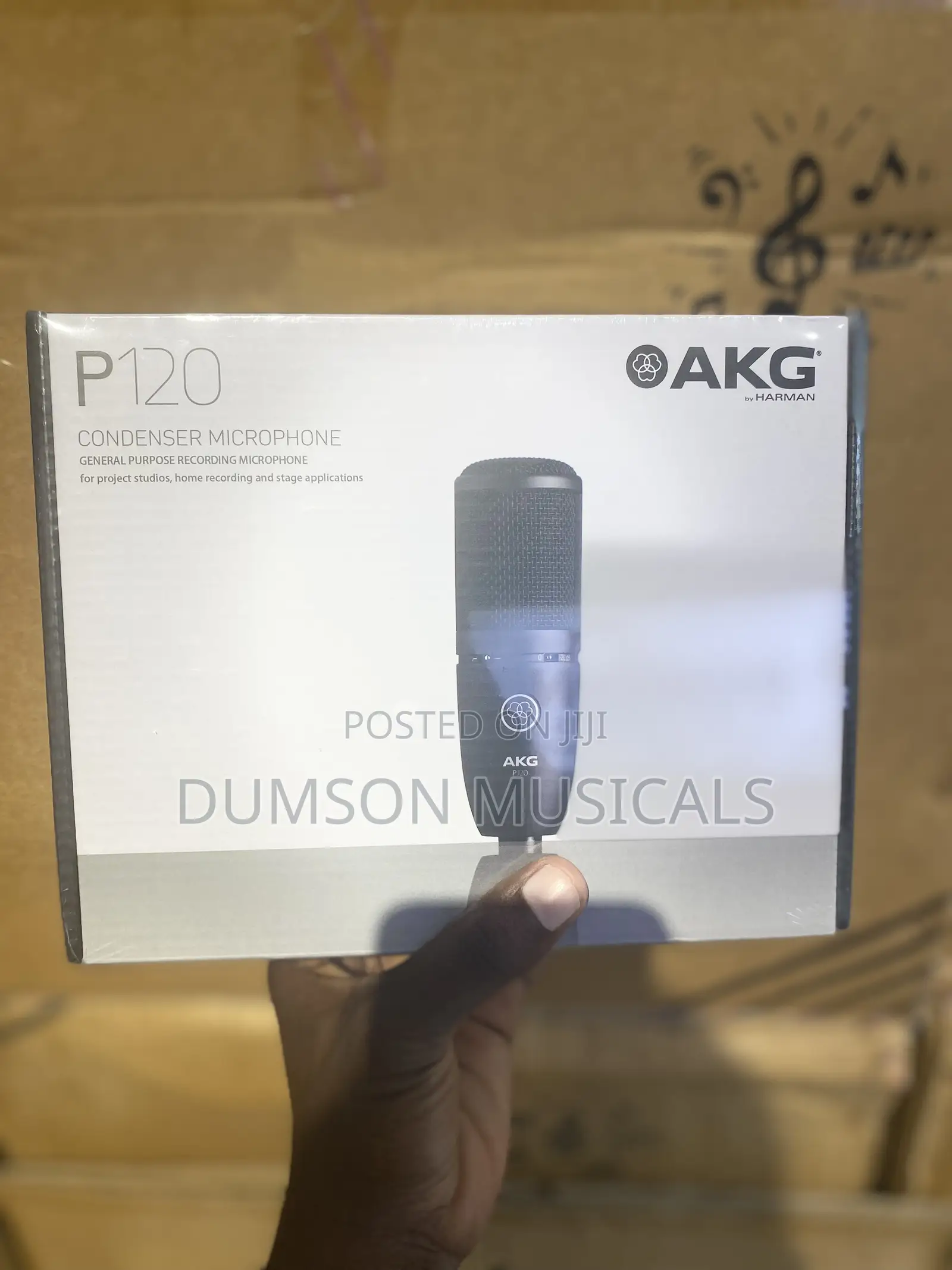 AKGP120 Studio Microphone
