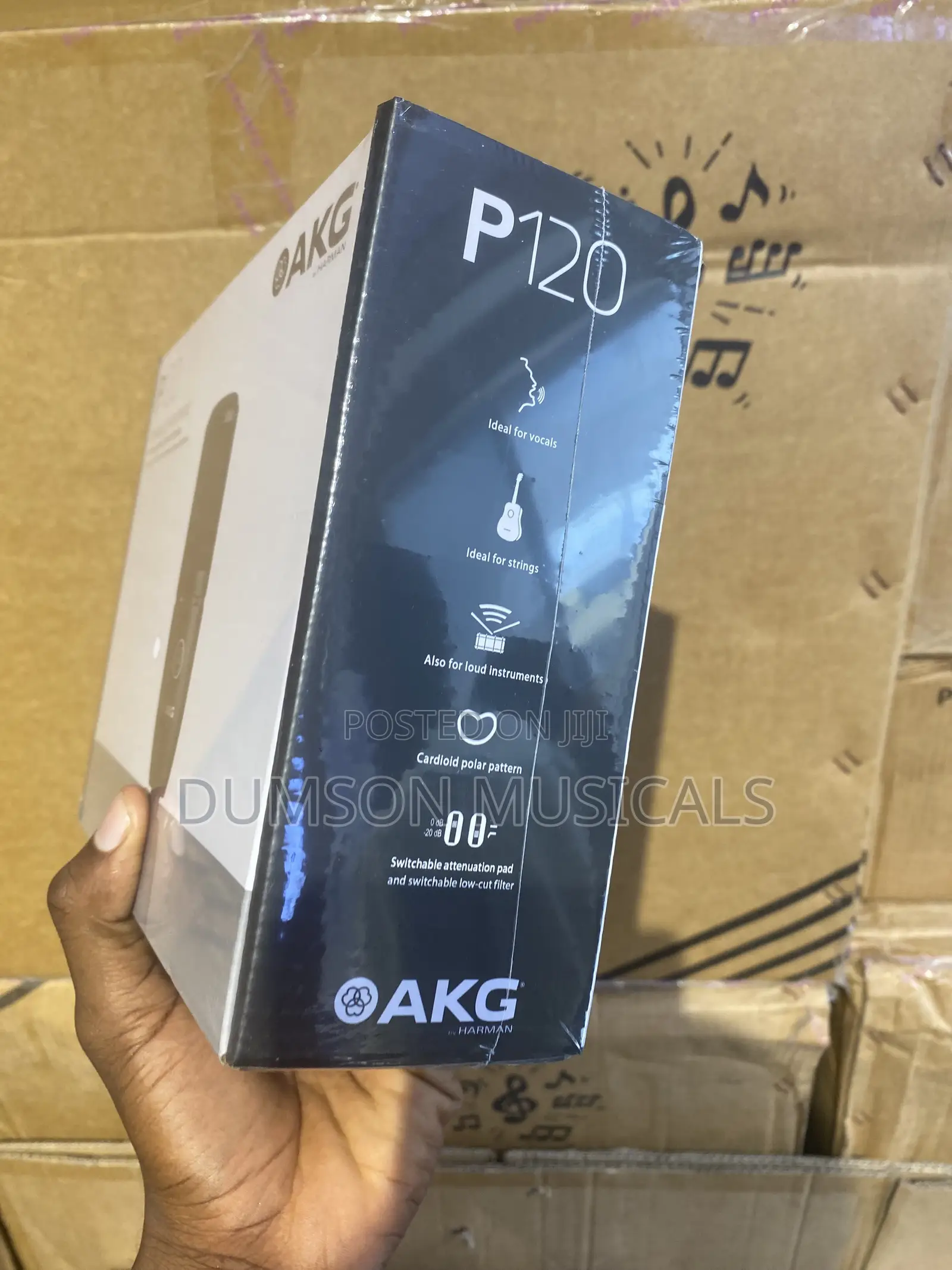 AKGP120 Studio Microphone