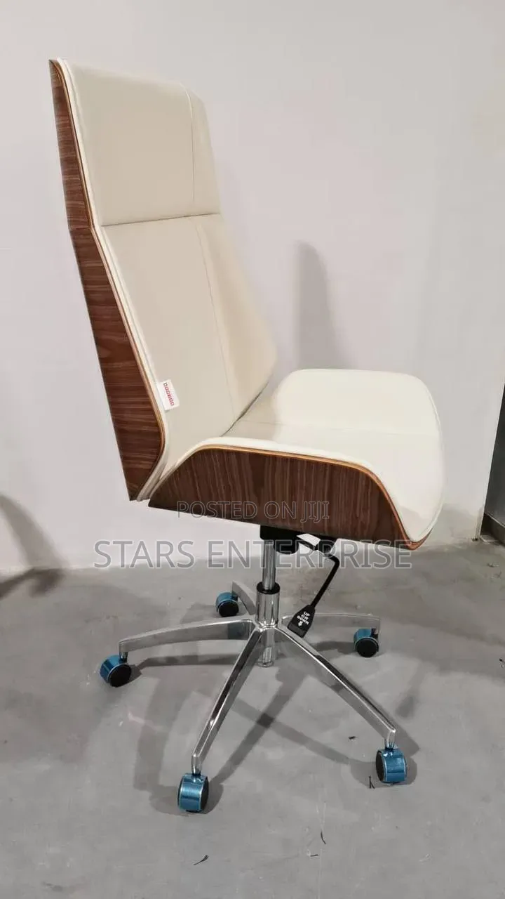 Office Chair / Swivel Chair.