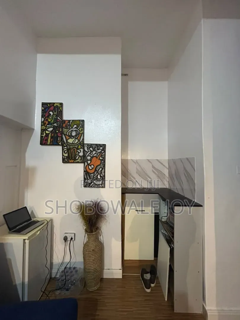 Furnished 1bdrm Apartment in Ikota for rent