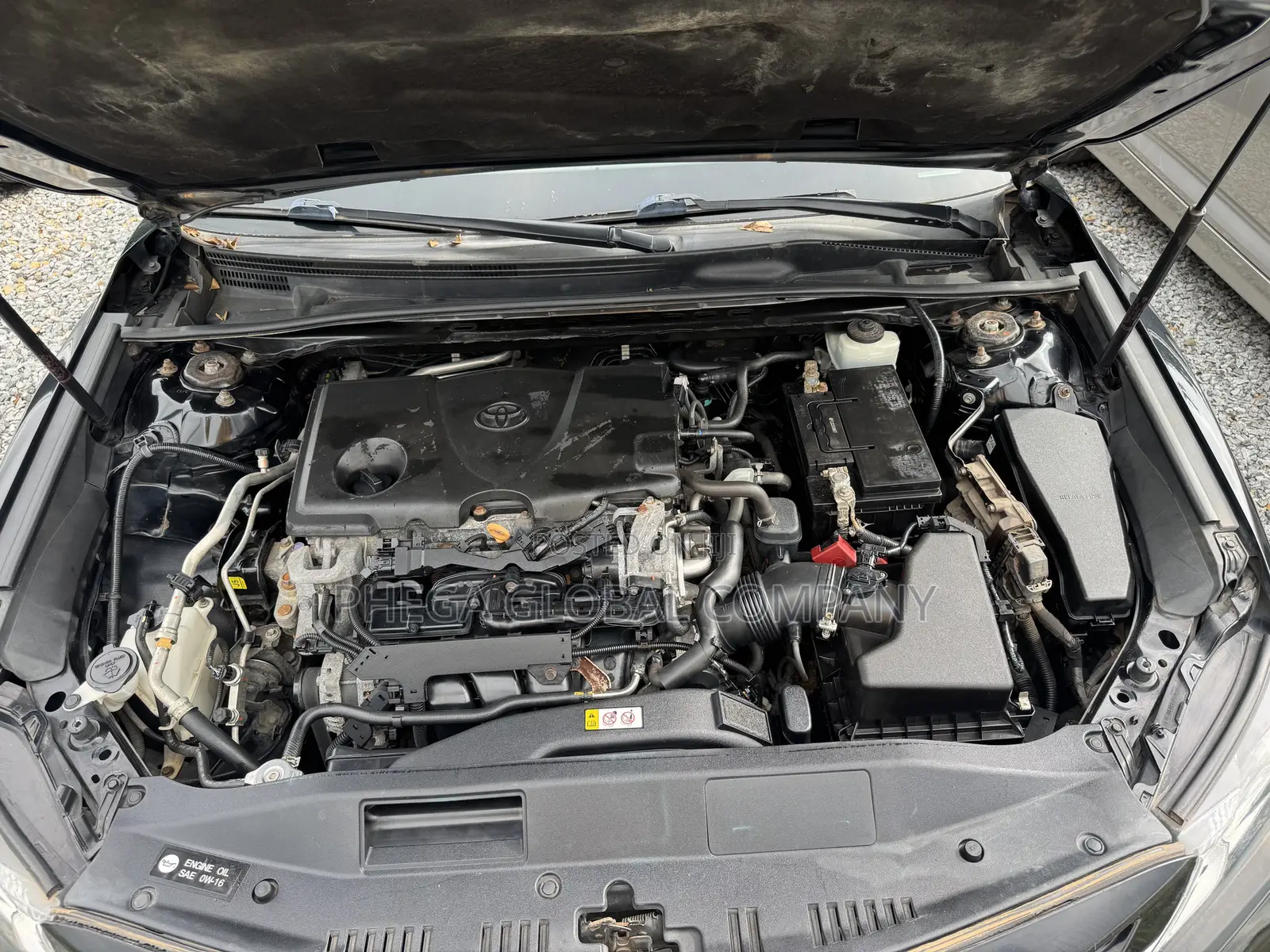 Toyota Camry SE (2.5L 4cyl 8A) 2019 Black