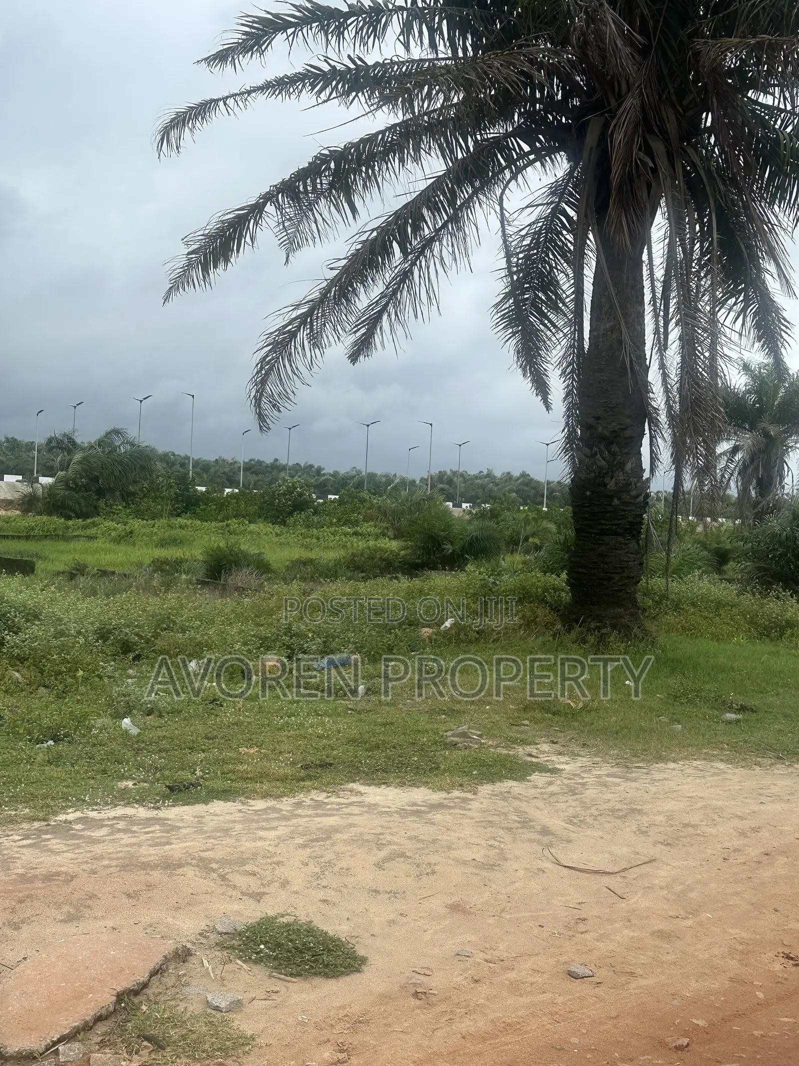 One Plot of Land for Sale at Eleko