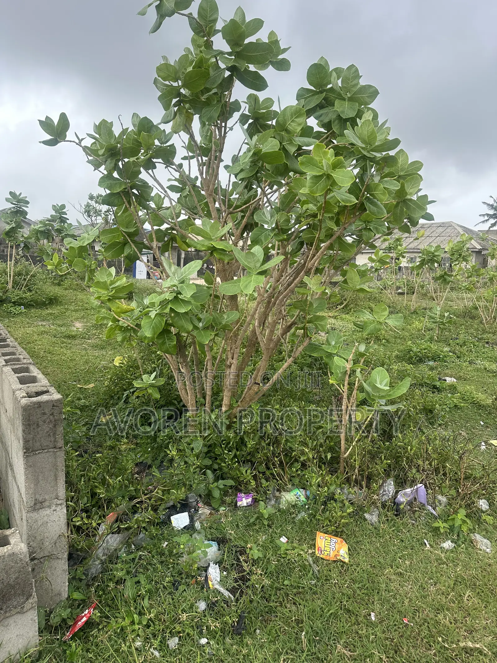 One Plot of Land for Sale at Eleko Beach Side