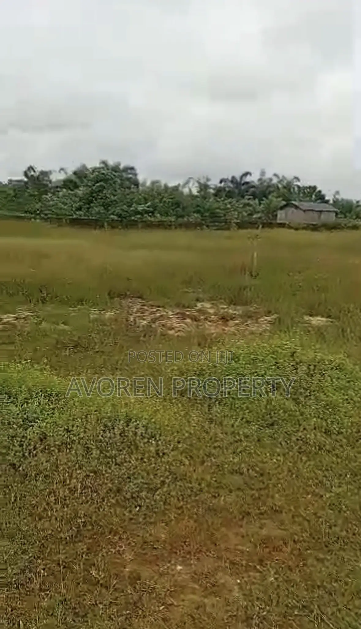 Two Plot of Land for Sale Ibeju (Okegun)