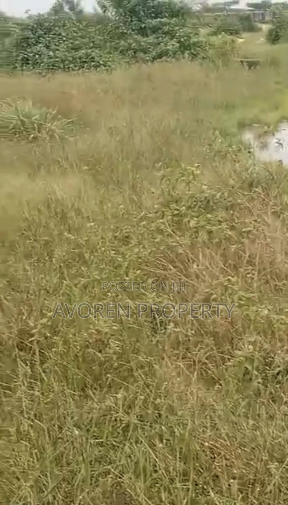 Two Plot of Land for Sale Ibeju (Okegun)