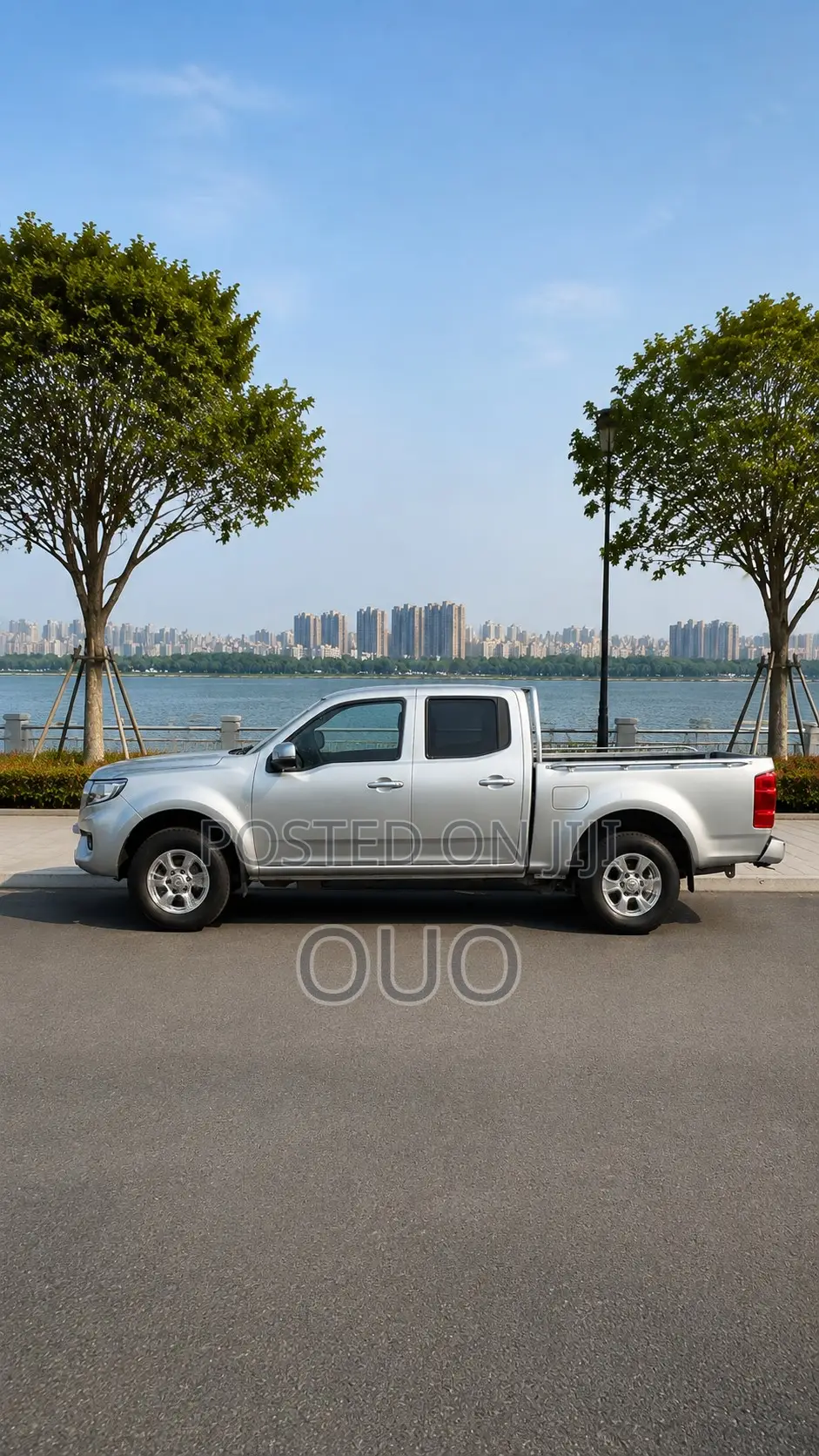 Great Wall Wingle 2019 Gray