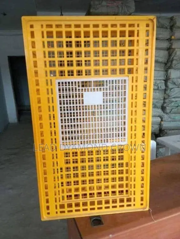 Birds Transfer Crates
