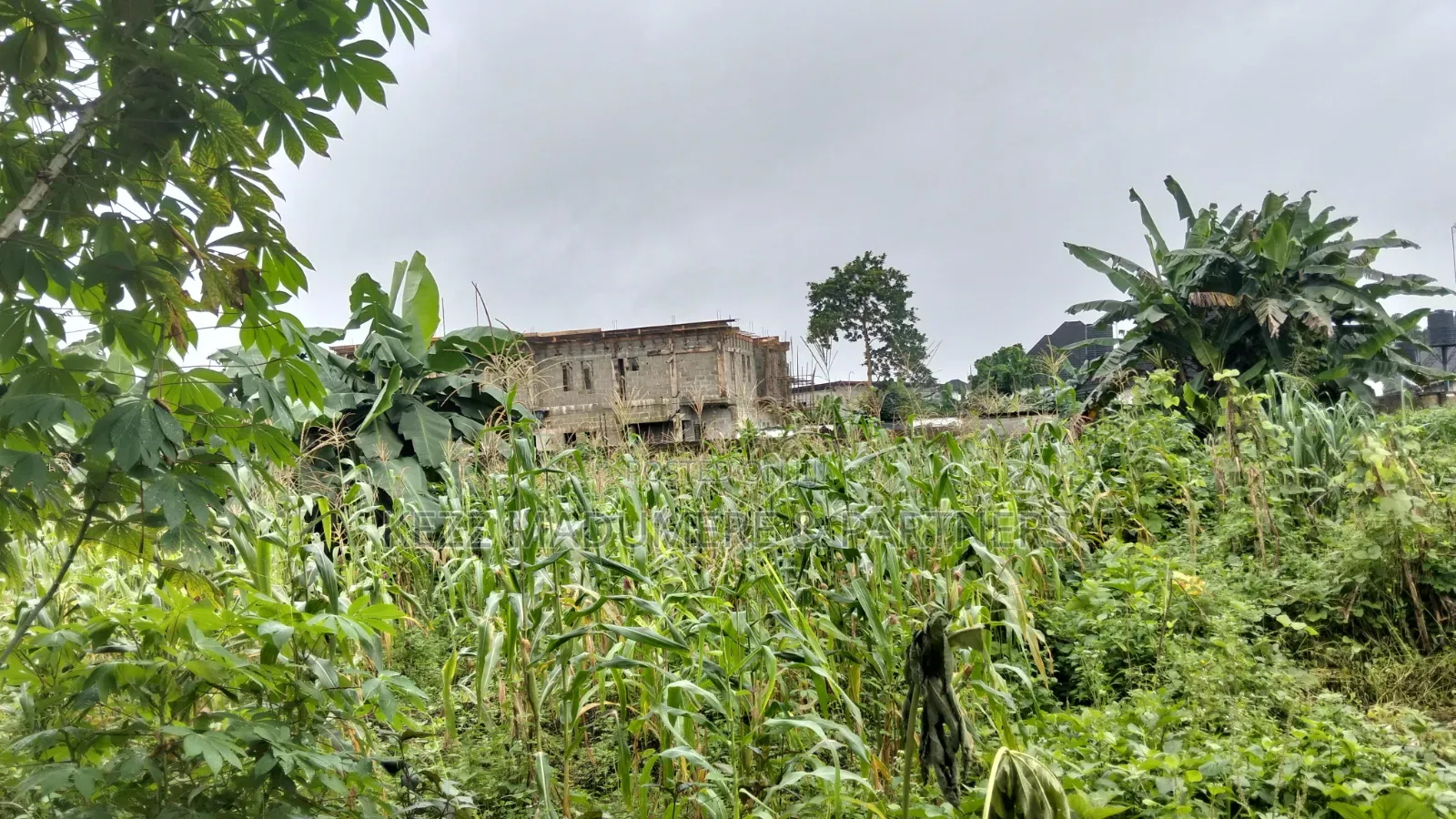 For Sale : 10 Plots , 1 Pole Off Major Sars Road, Ph