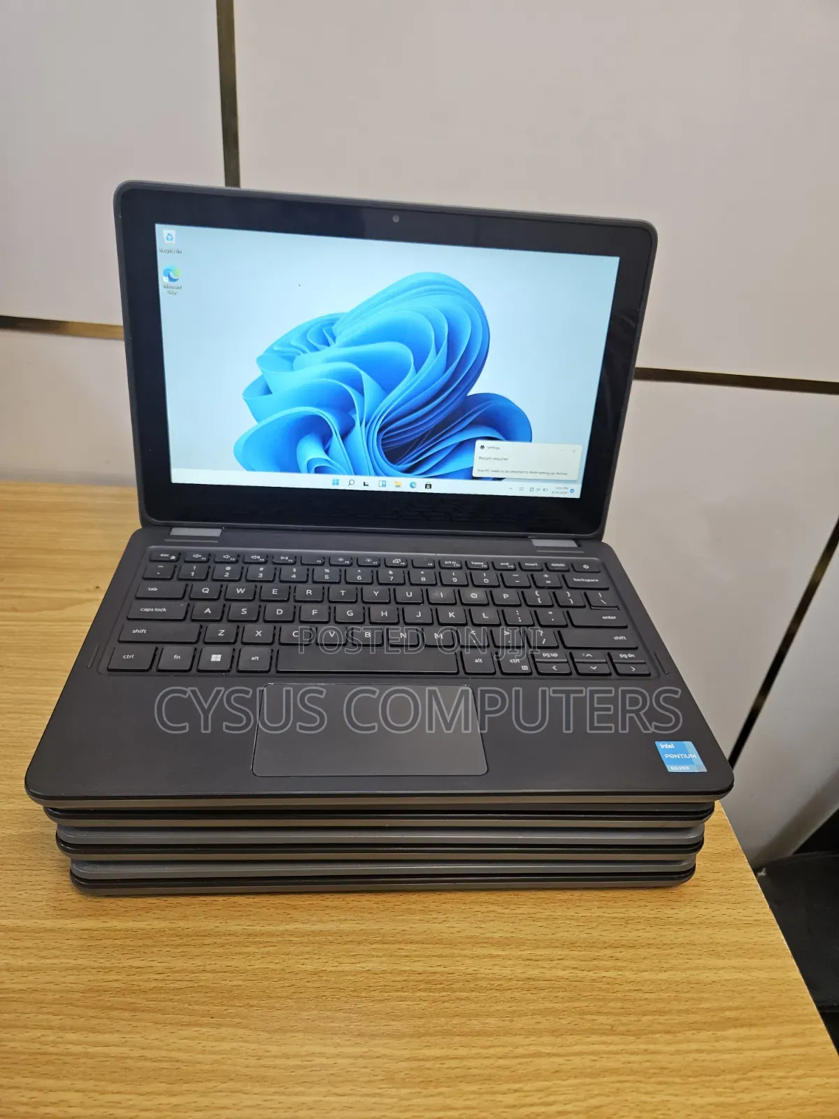Laptop Dell Latitude 3120 8GB Intel Pentium SSD 256GB