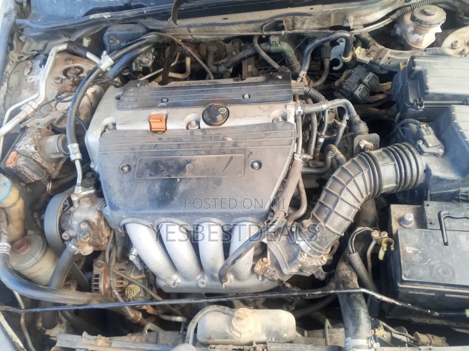 Honda Accord 2006 White