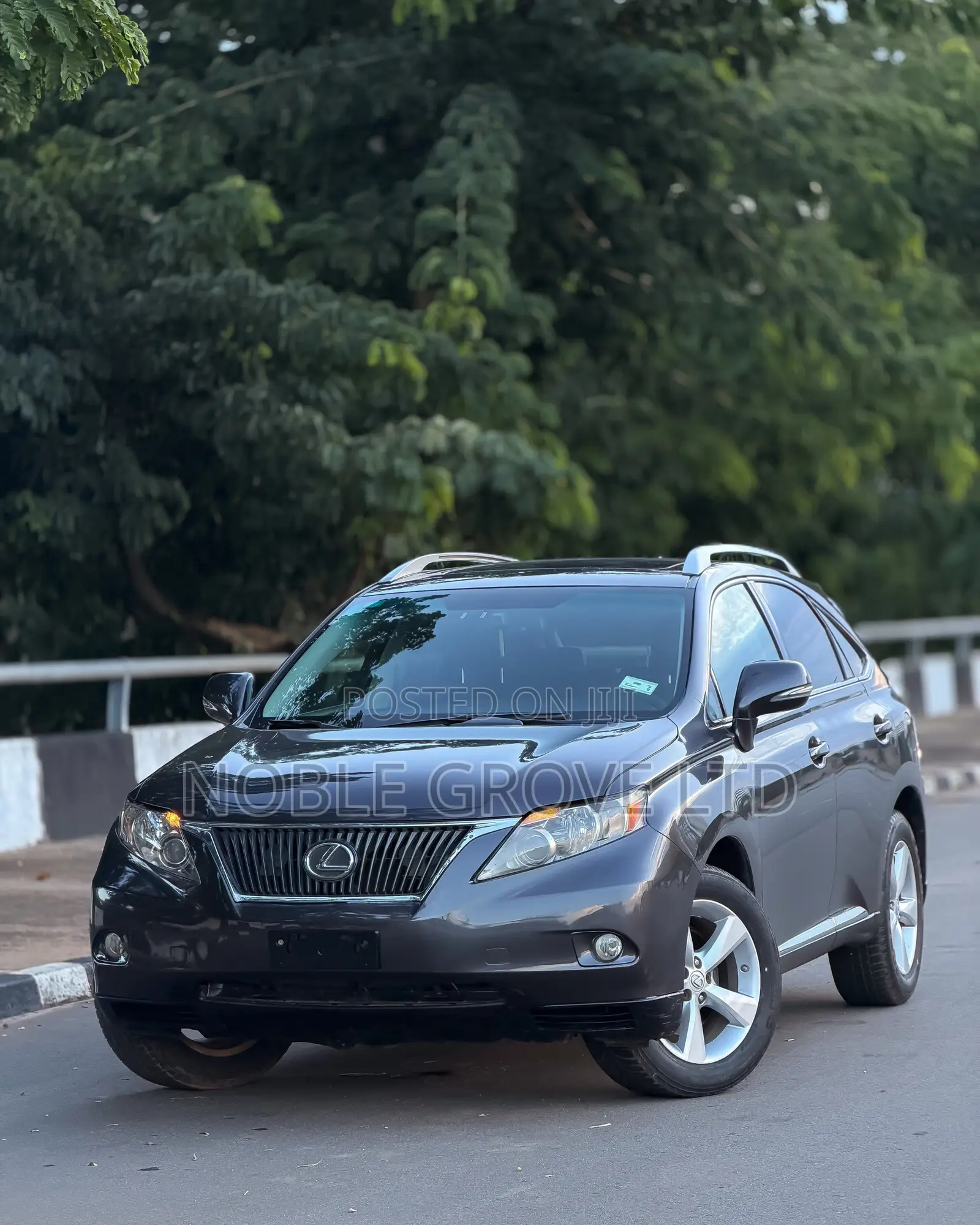 Lexus RX 350 2010 Brown