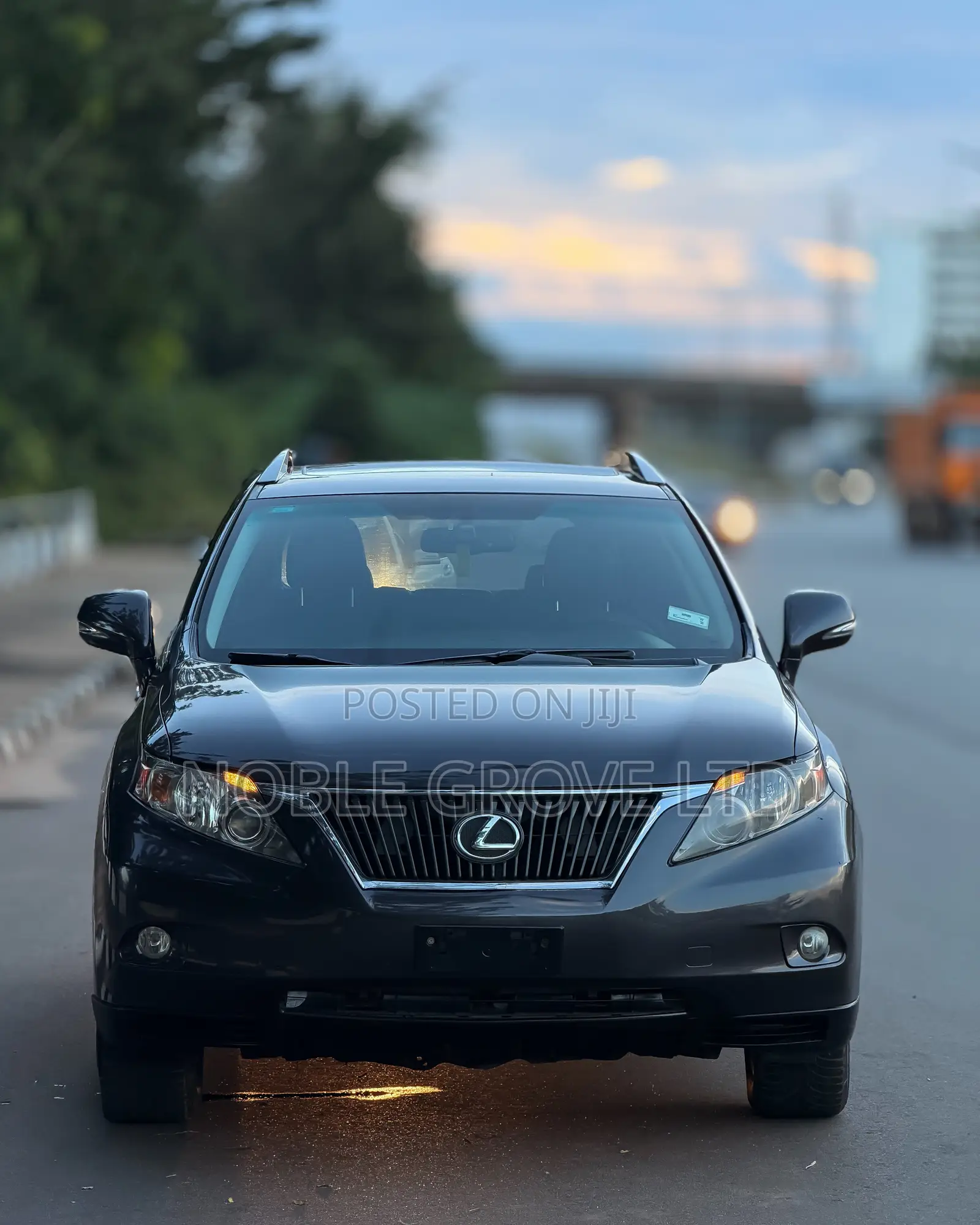 Lexus RX 350 2010 Brown