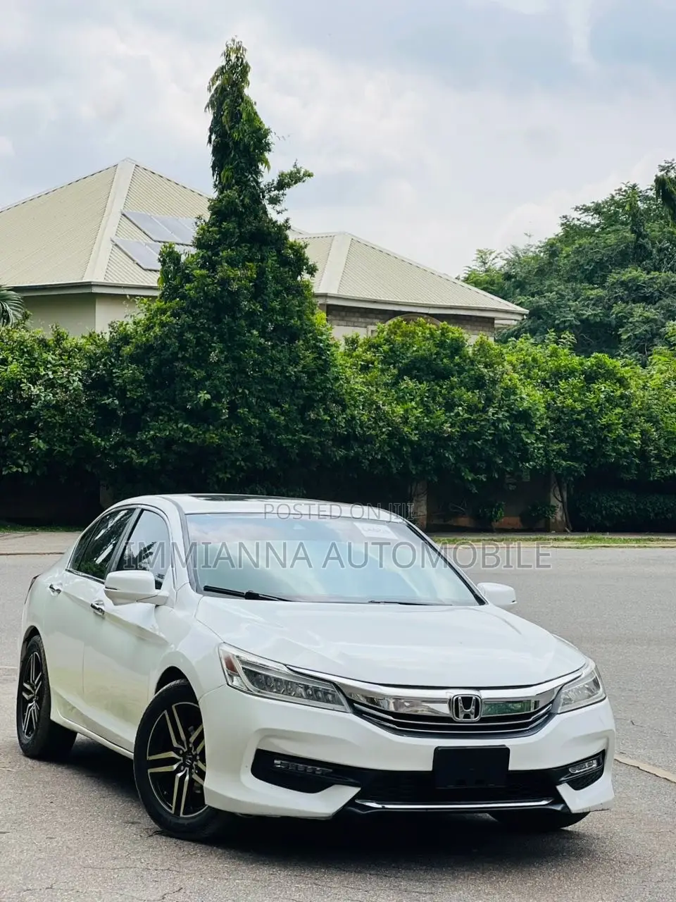 Honda Accord EX-L 4dr Sedan (2.4L 4cyl CVT) 2015 White