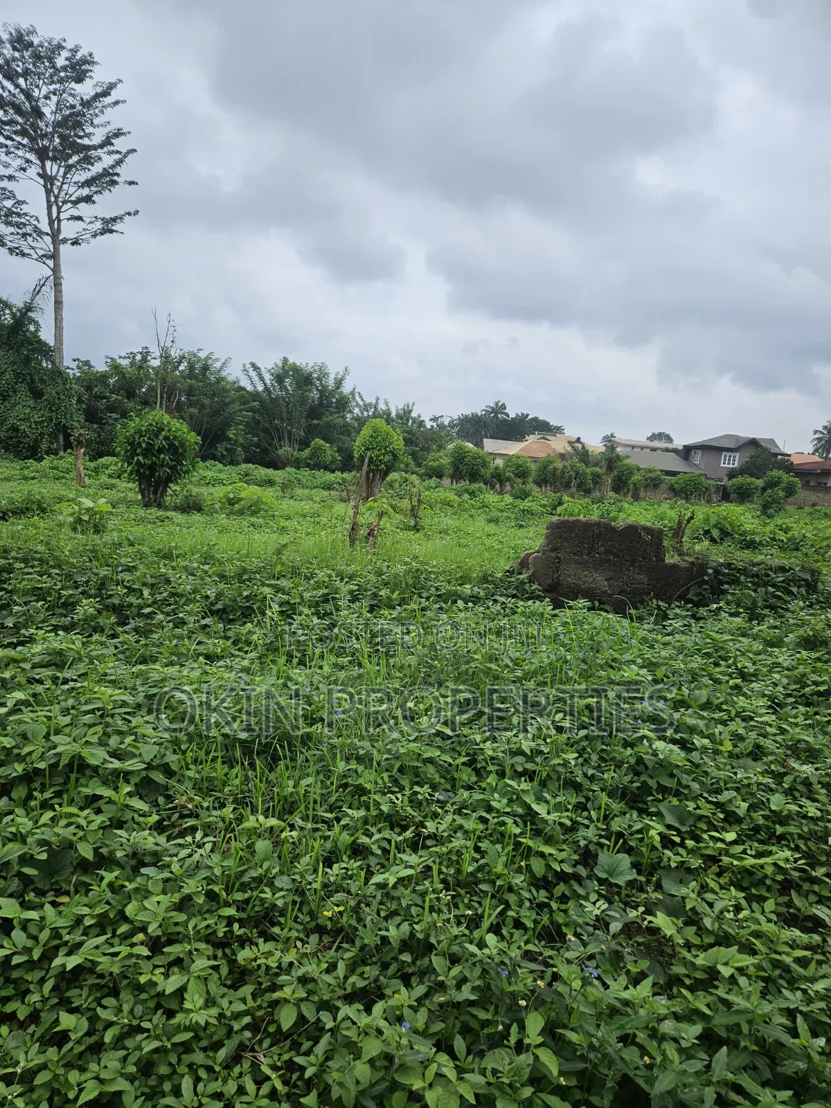 5 Plots of  Land Behind GTB Ogooluwa