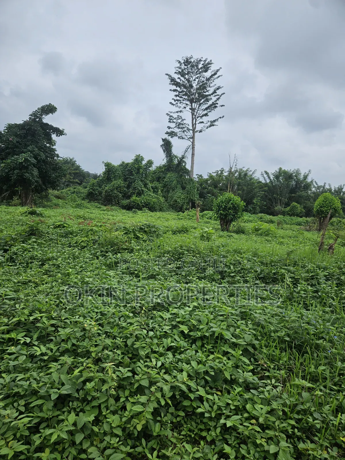 5 Plots of  Land Behind GTB Ogooluwa