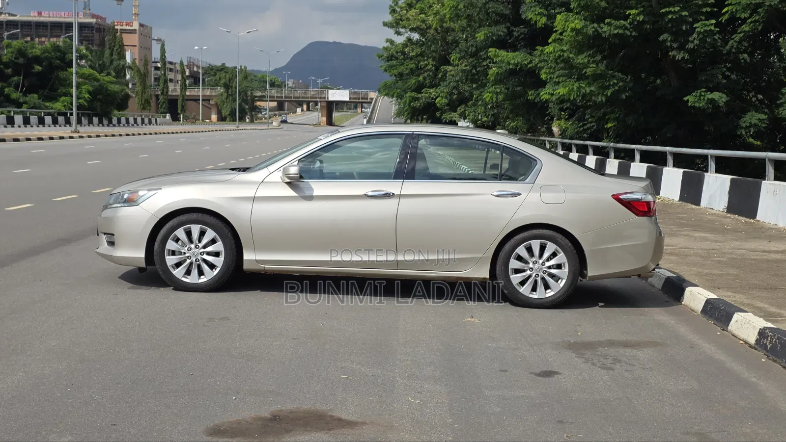 Honda Accord EX-L V-6 4dr Sedan FWD (3.5L 6cyl 6A) 2013 Gold