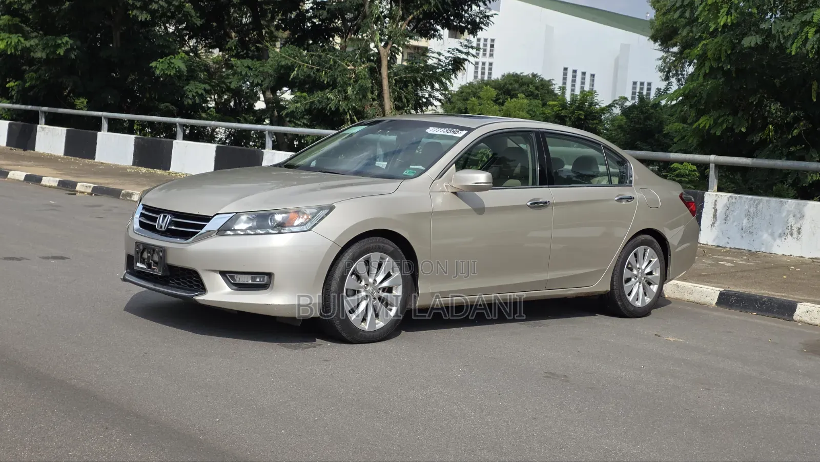 Honda Accord EX-L V-6 4dr Sedan FWD (3.5L 6cyl 6A) 2013 Gold