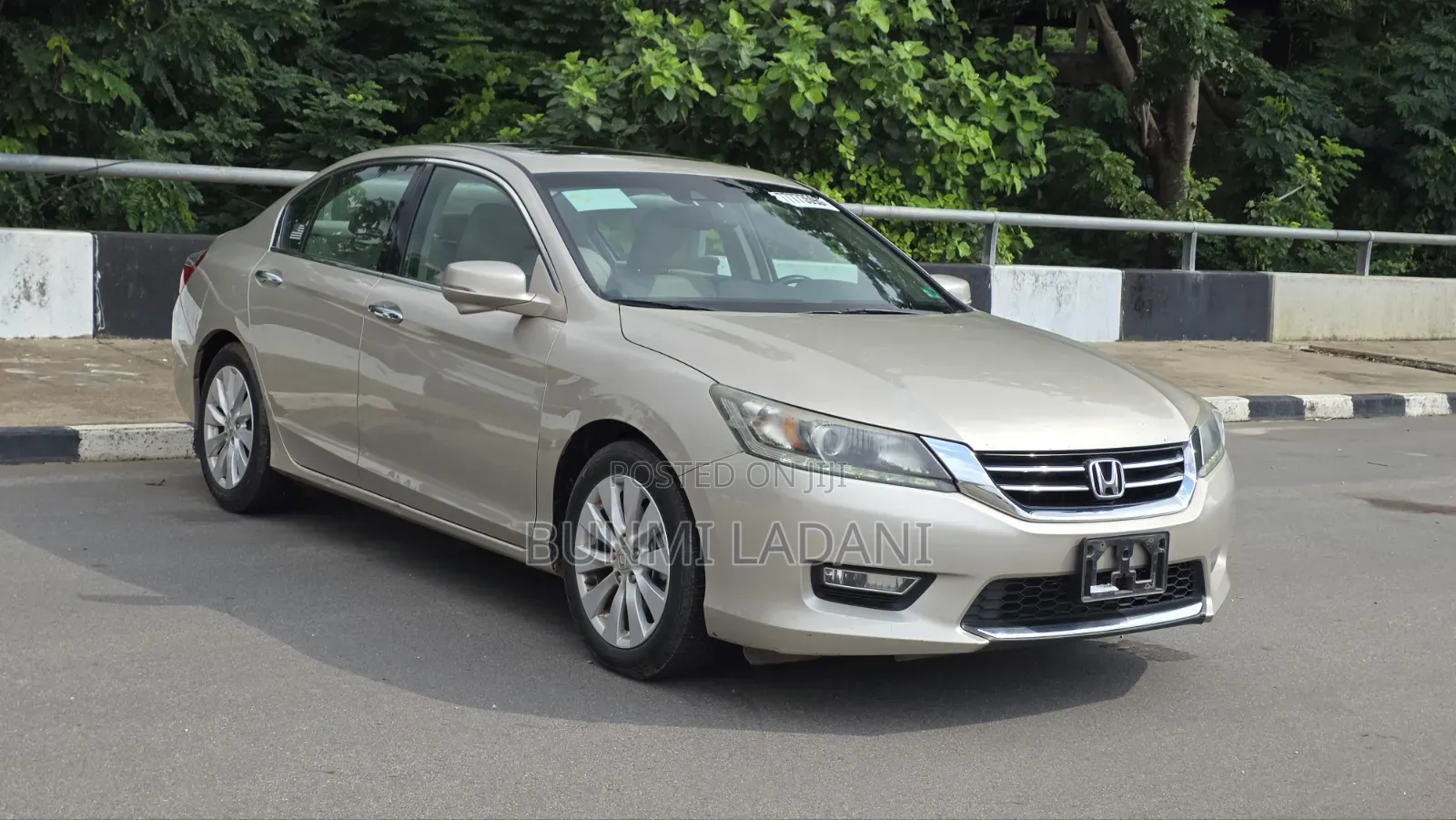 Honda Accord EX-L V-6 4dr Sedan FWD (3.5L 6cyl 6A) 2013 Gold