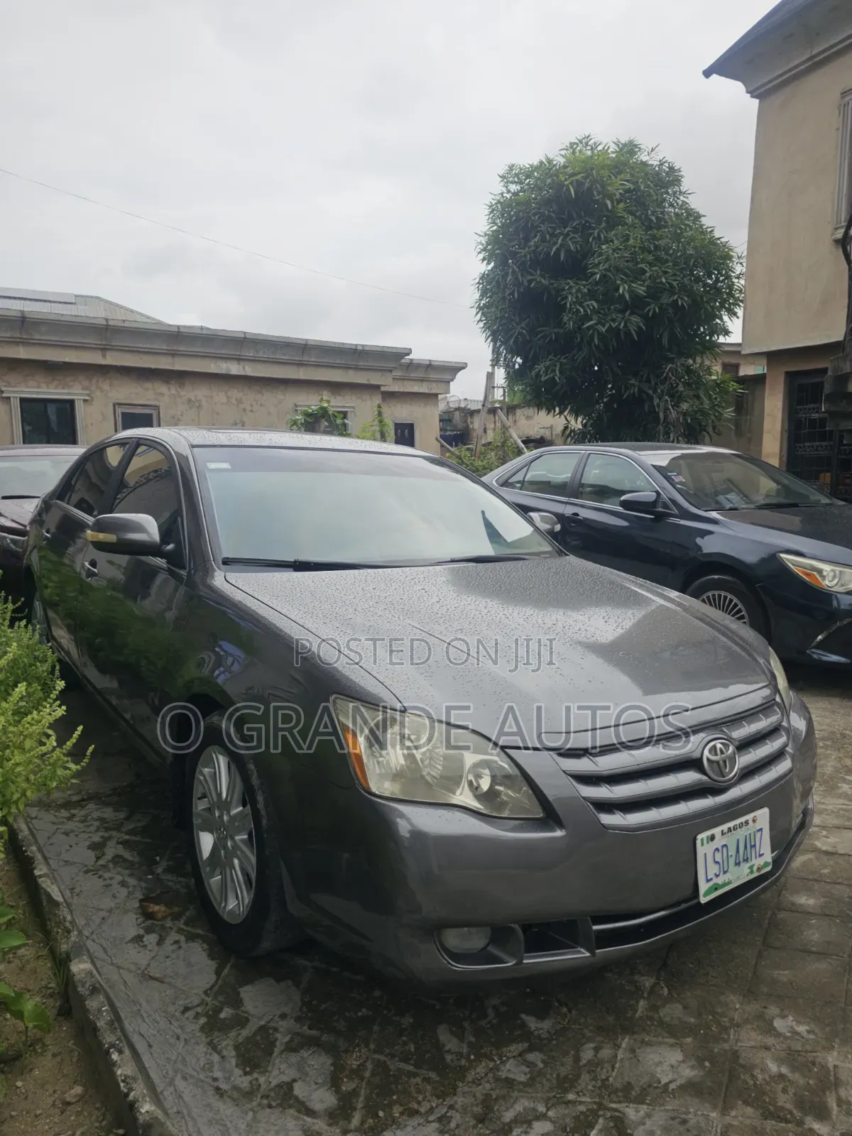 Toyota Avalon Limited 2007 Gray