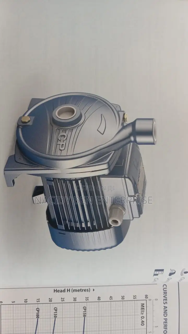 Flat Head 3hp Pedrollo Pump