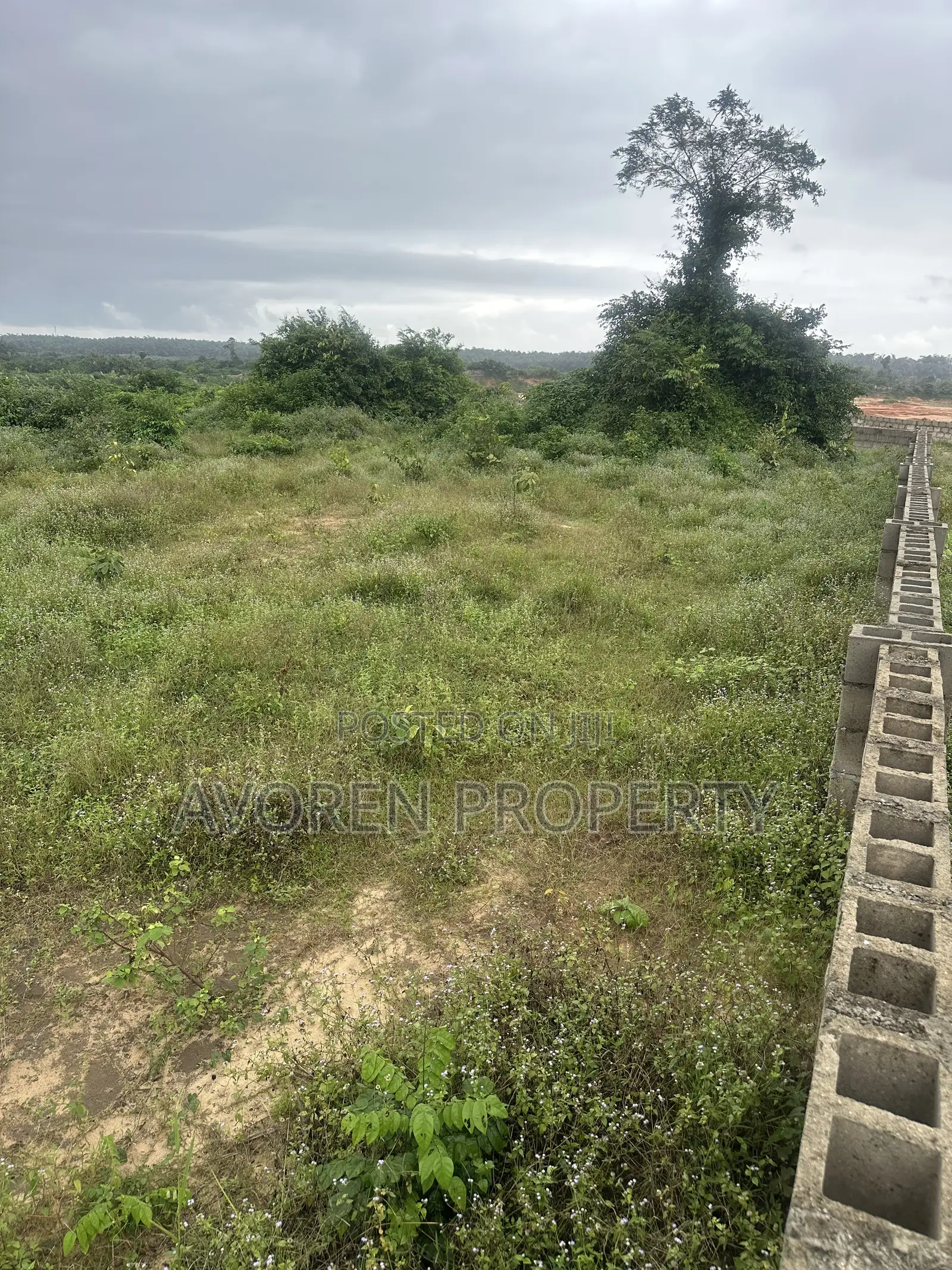 5 Hectares for Sale in Elerangbe Ibeju Lekki