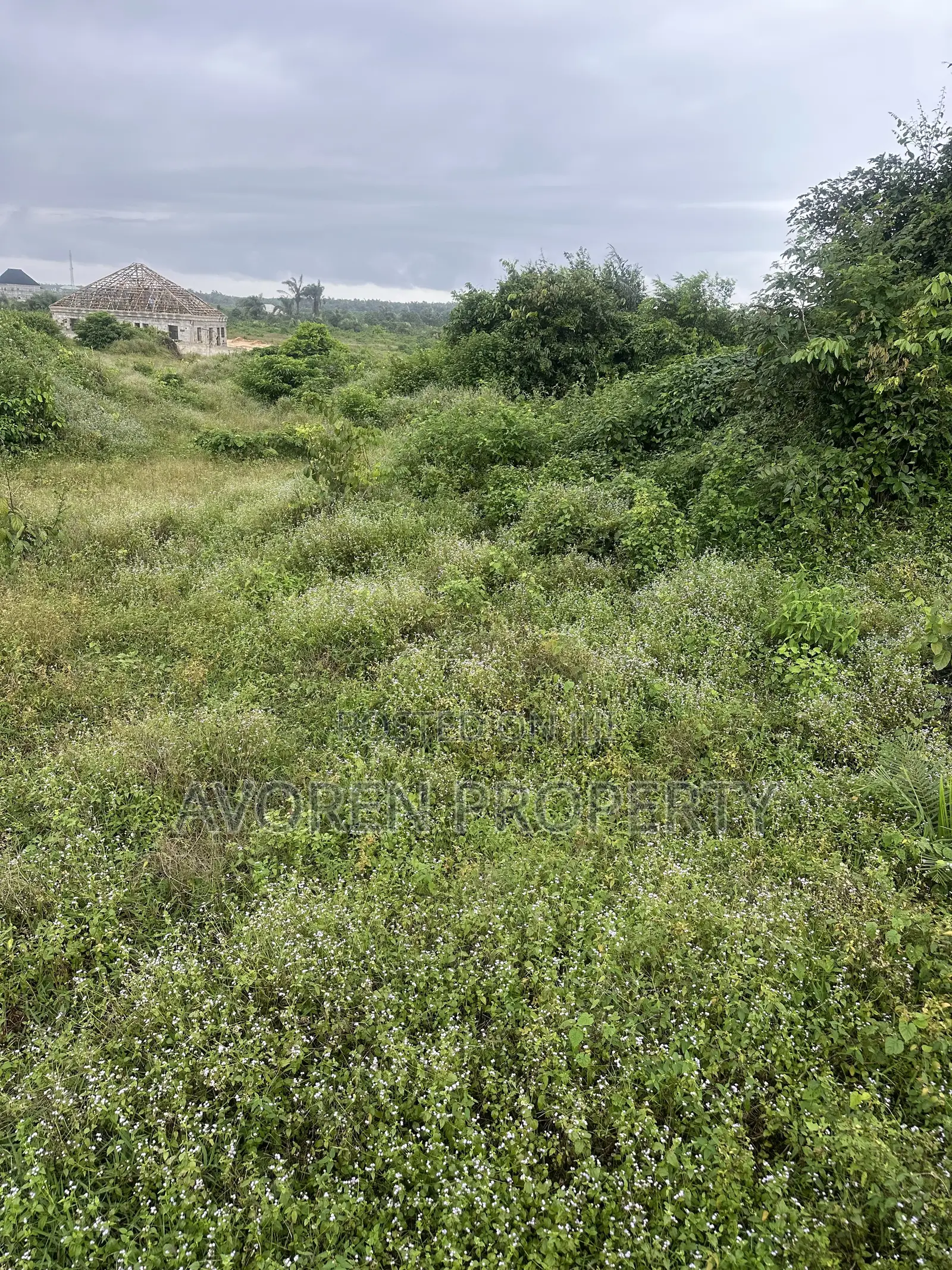 5 Hectares for Sale in Elerangbe Ibeju Lekki