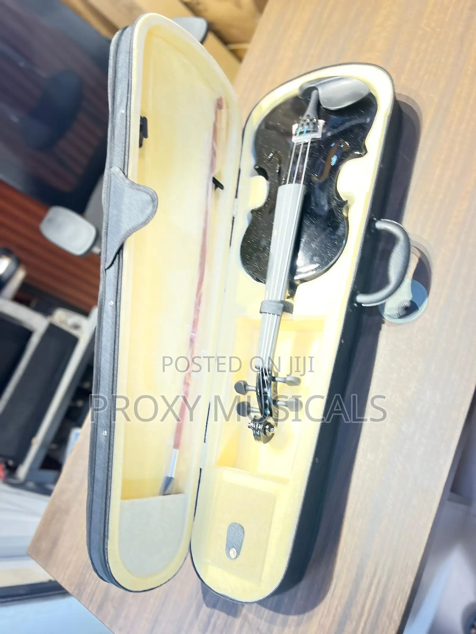 Black Acoustic Violin