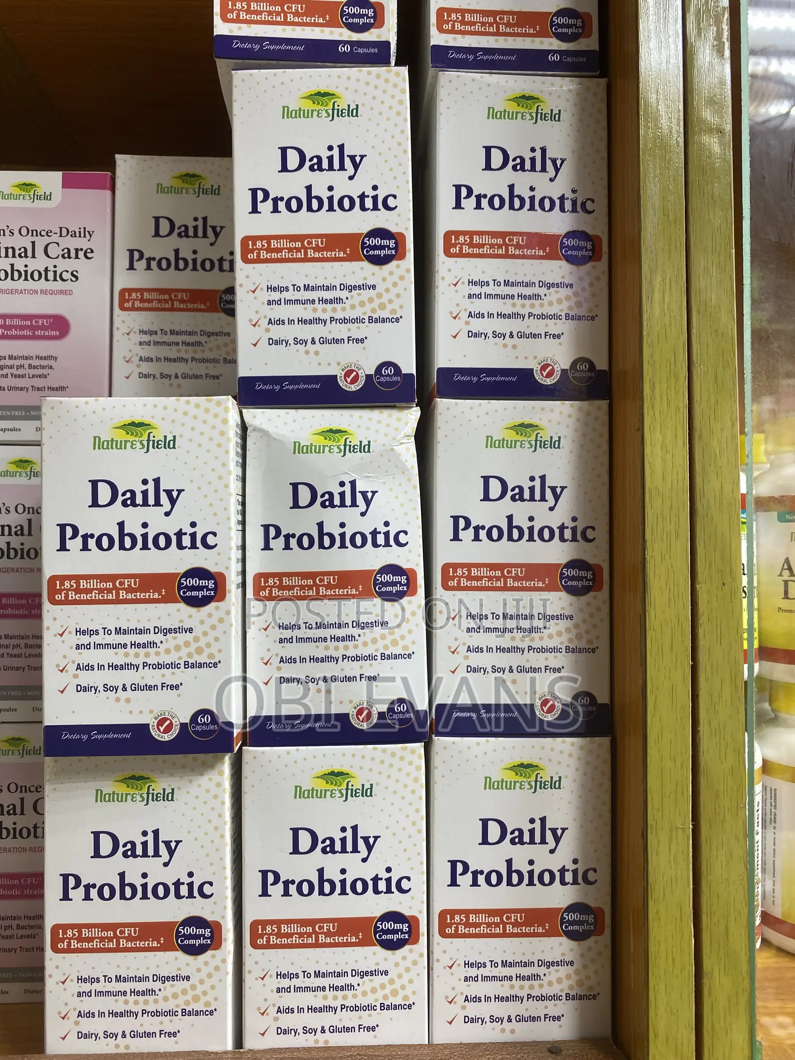 Daily Probiotic
