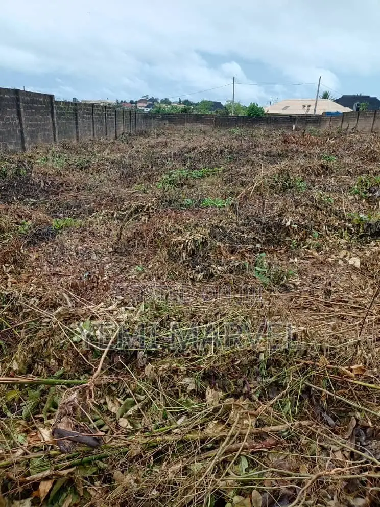 Fenced and Gated 3 Plots of Corner Piece Land at Akobo Ojurin
