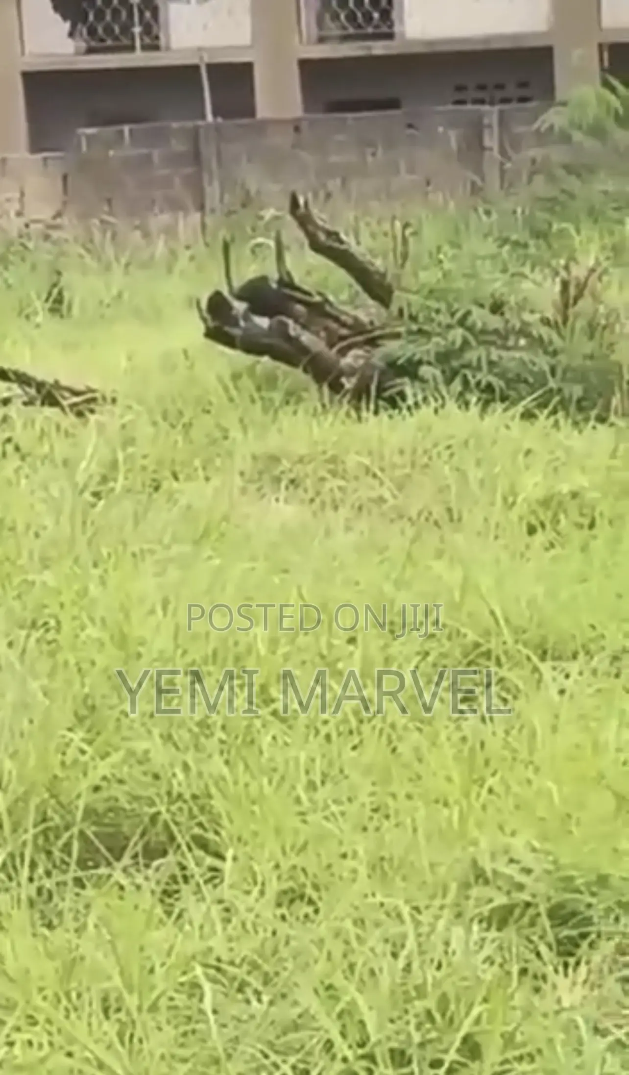 932sqm (2 Plots) of Land With C of O at New Bodija, Ibadan