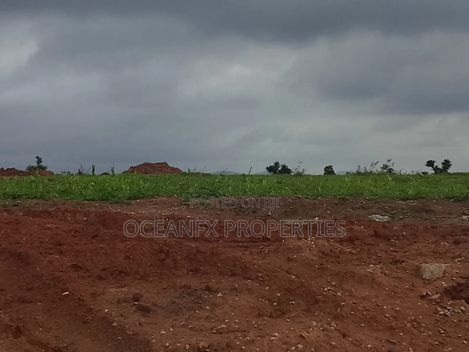 Smart Entry | 250sqm 4 Bedroom Semi-Detached | the Embassy Apo-Wasa