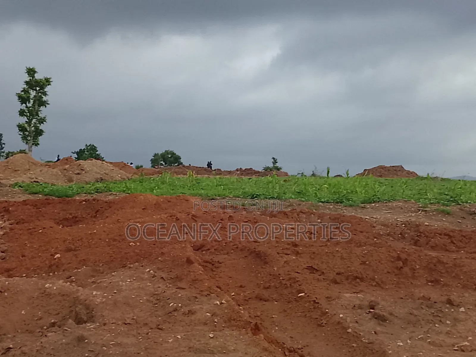 Smart Entry | 250sqm 4 Bedroom Semi-Detached | the Embassy Apo-Wasa