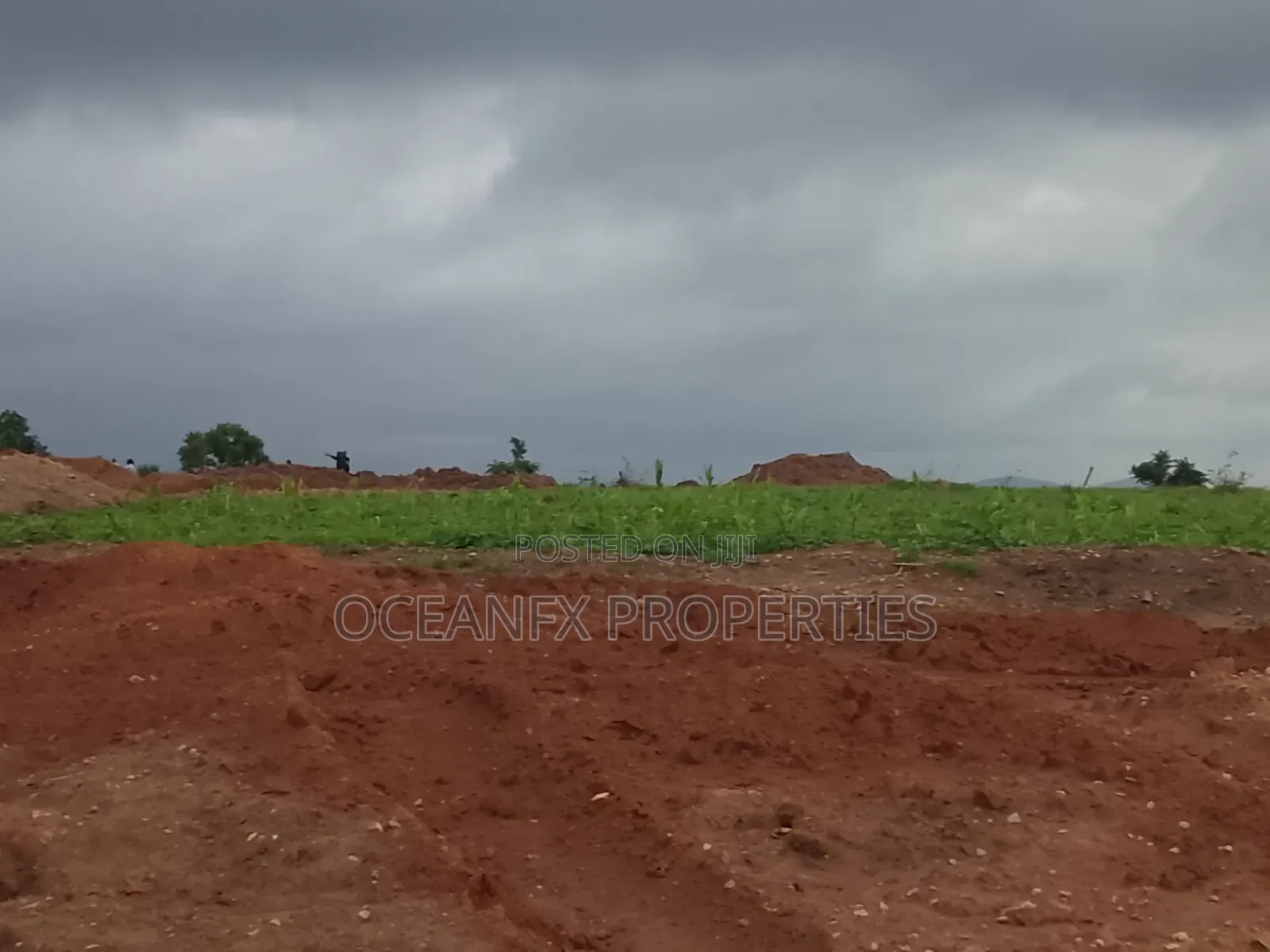 The Embassy Apo-Wasa | 250sqm | 4 Bedroom Semi-Detached | Family Home