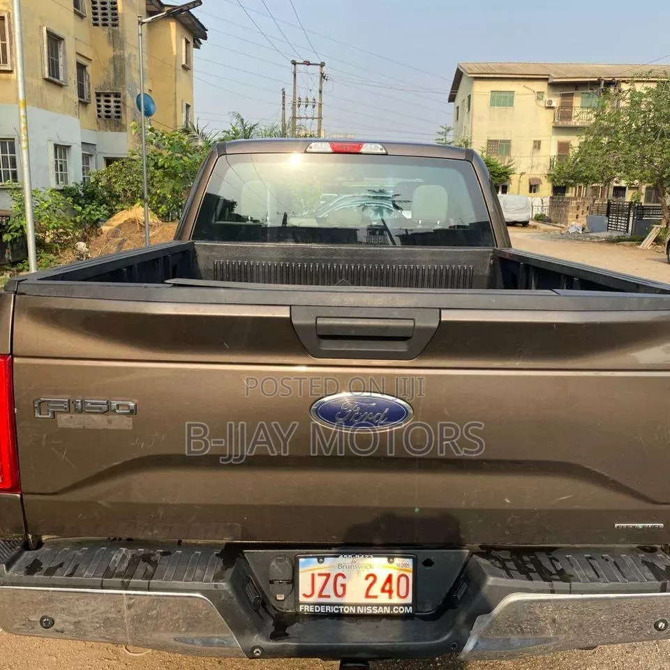 Ford F-150 2015 Gray