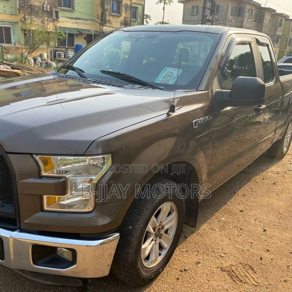 Ford F-150 2015 Gray