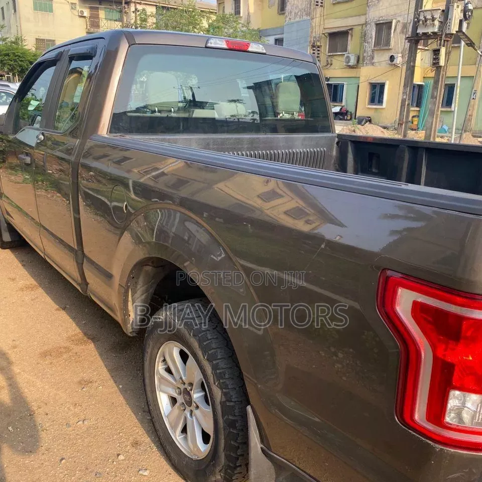 Ford F-150 2015 Gray
