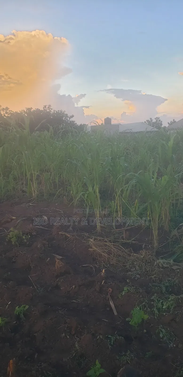Two Plot of Land