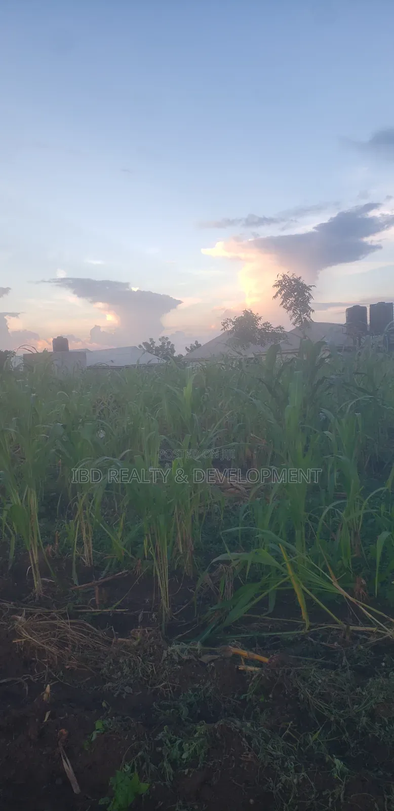 Two Plot of Land