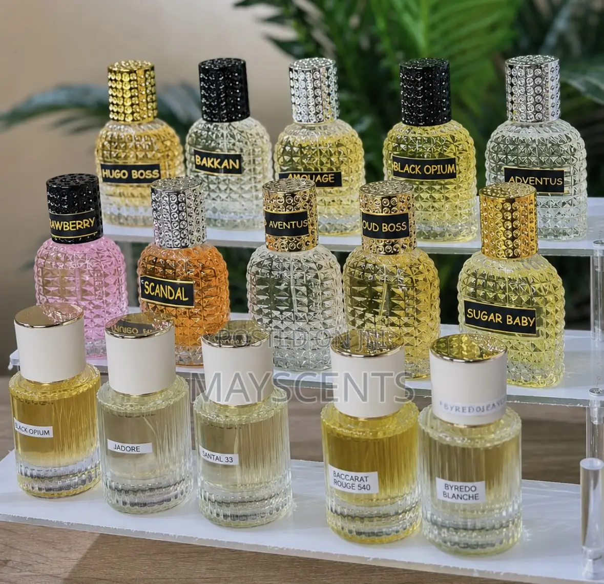 30ml Perfume Oil – Long Lasting | Different Fragrances