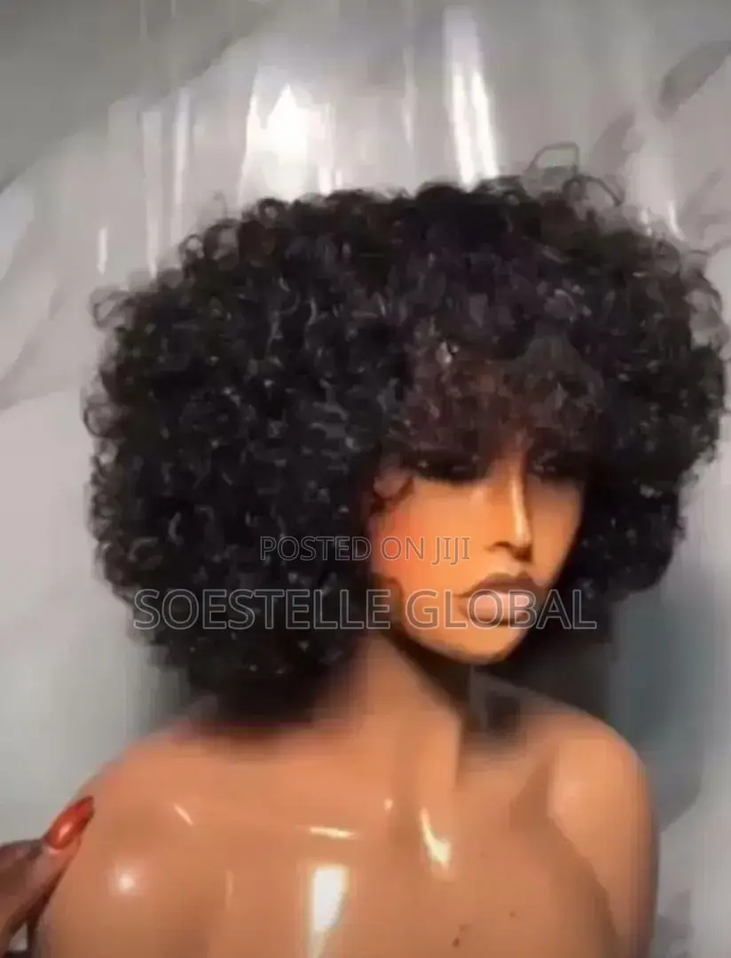 Sassy Fringe Wig