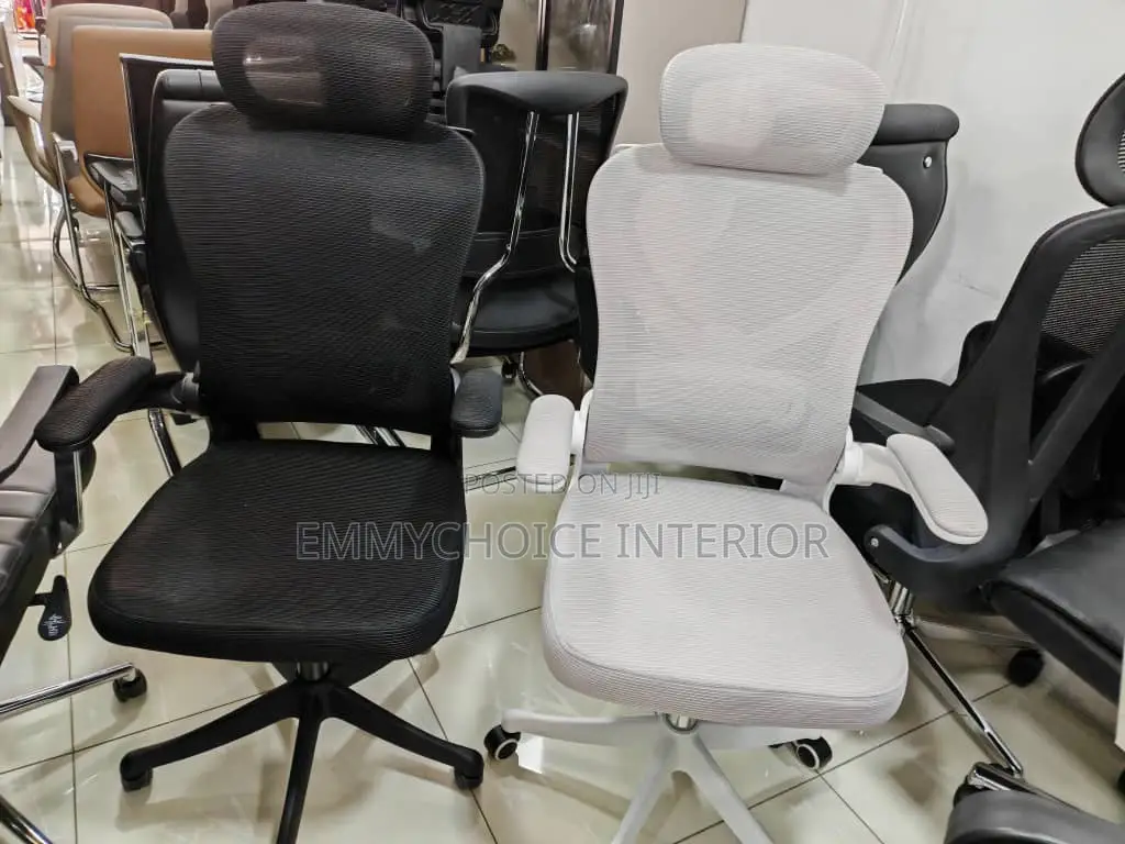 High Back Ergonomic Mesh Office Chair With Headrest