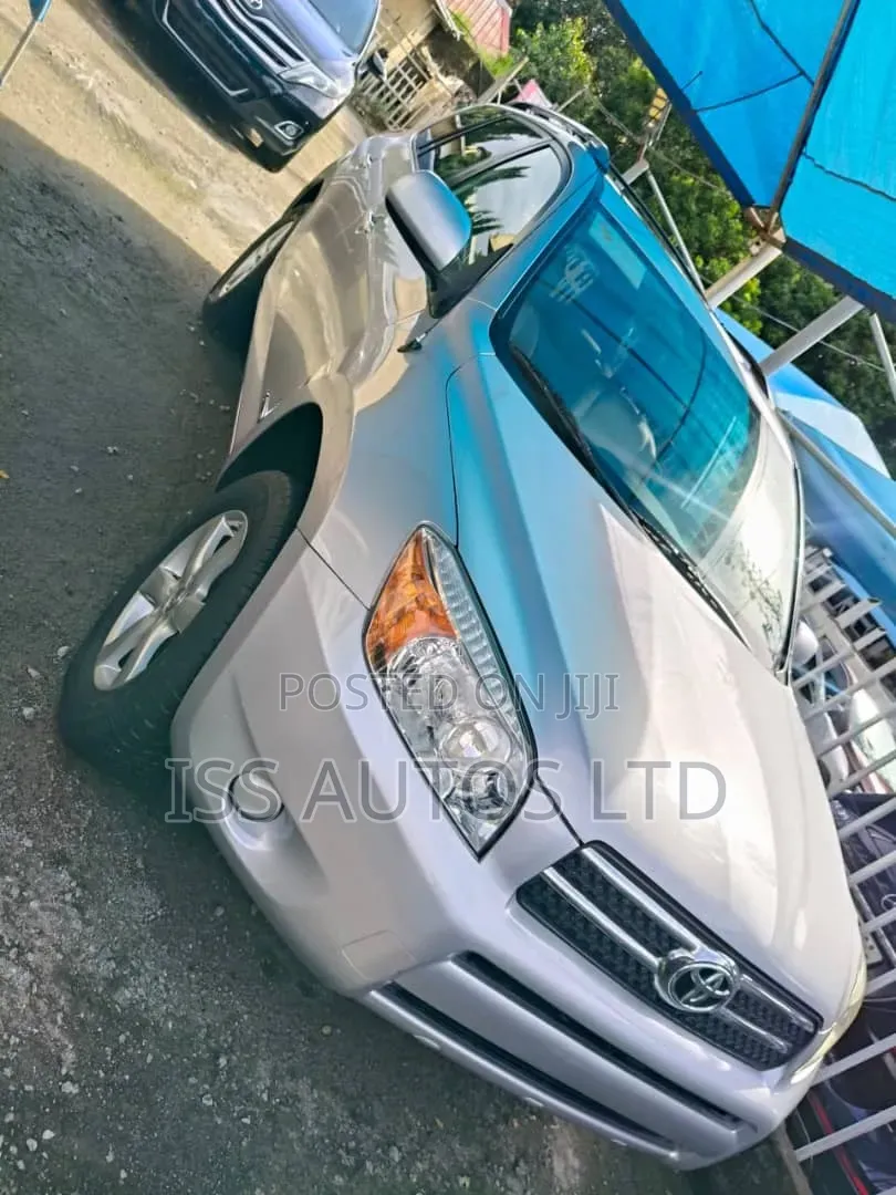 Toyota RAV4 Sport 2009 Silver