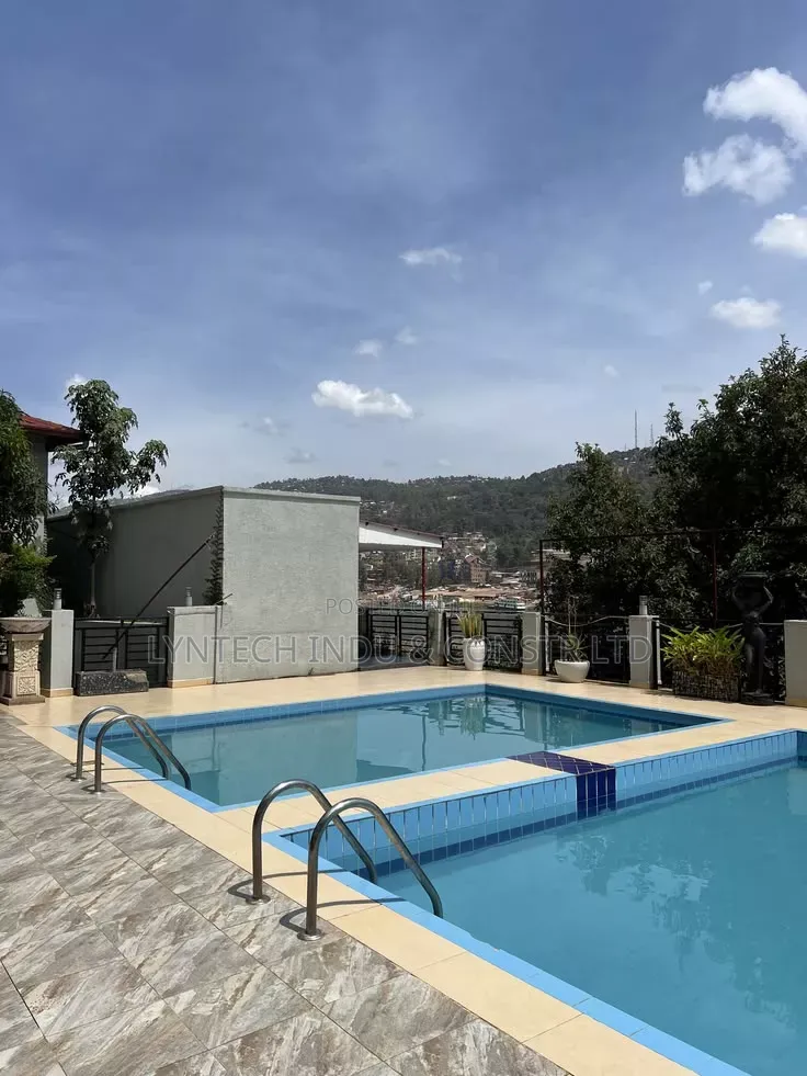Professional Swimming Pool Construction