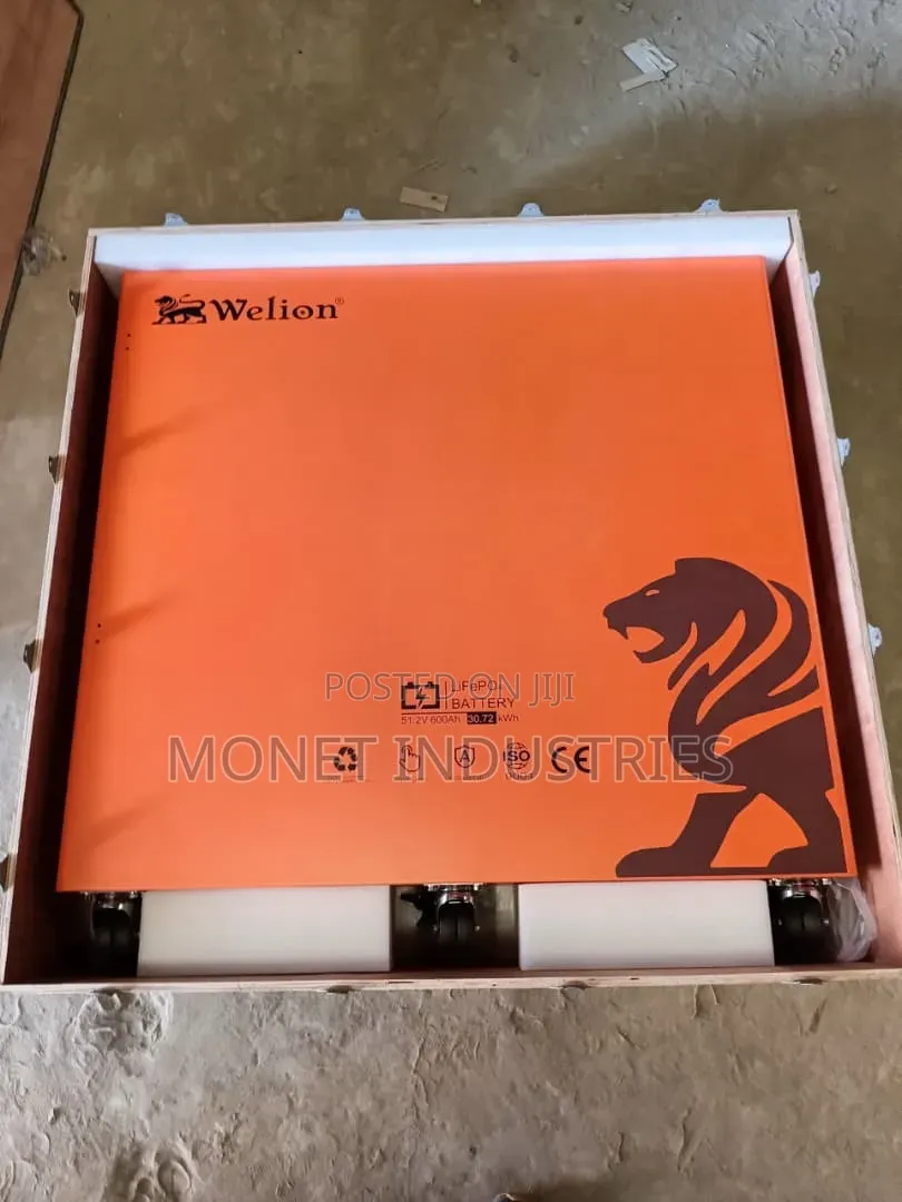 30kwh 51.2v Welion Lithium Batteries