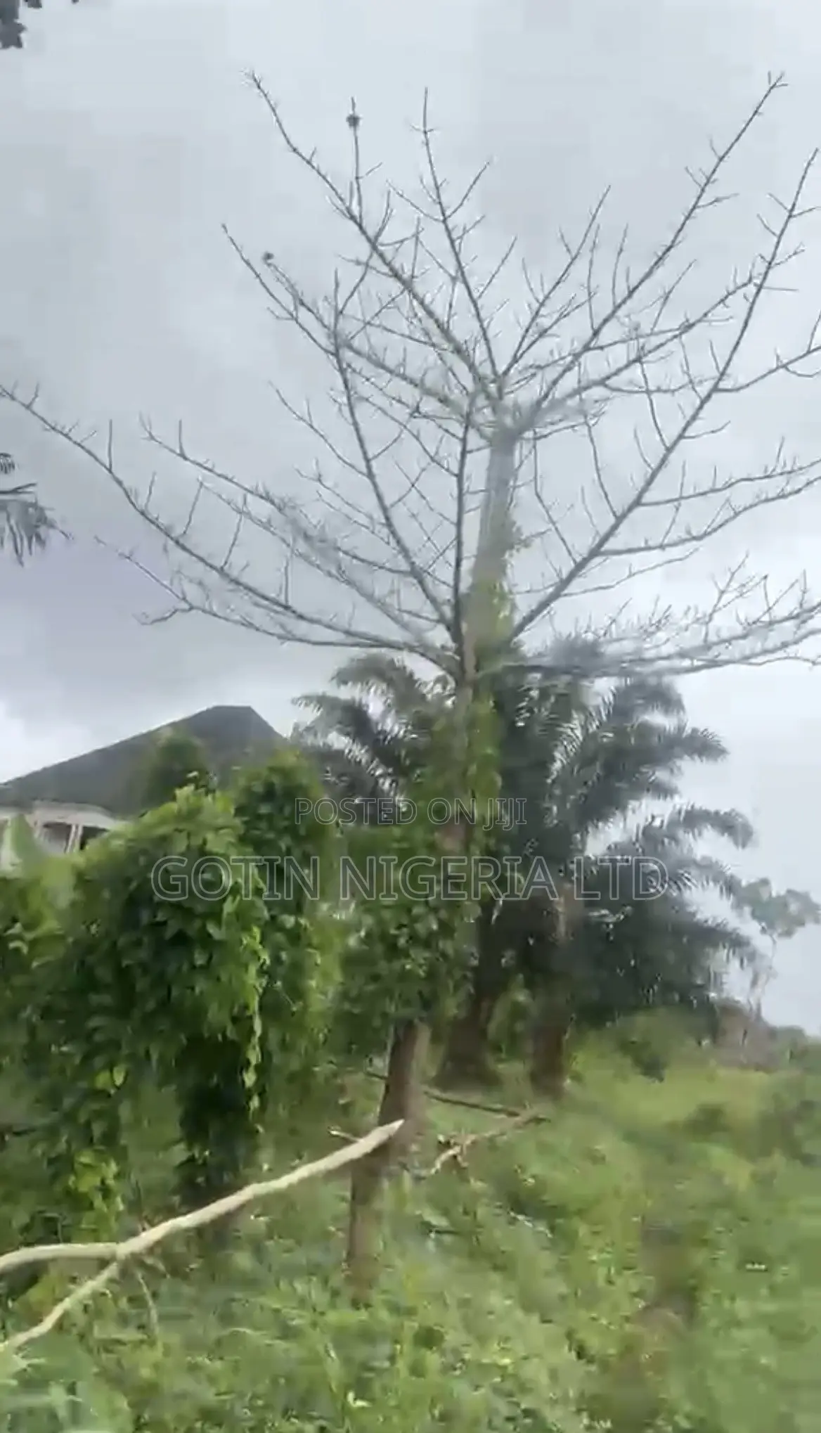 100×200ft C of O Plot for Sale at Obagie, Off Airport Road