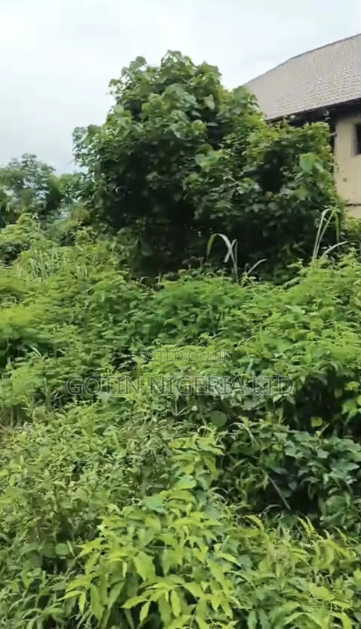 100×100ft Land at BDPA Off Lucky Street