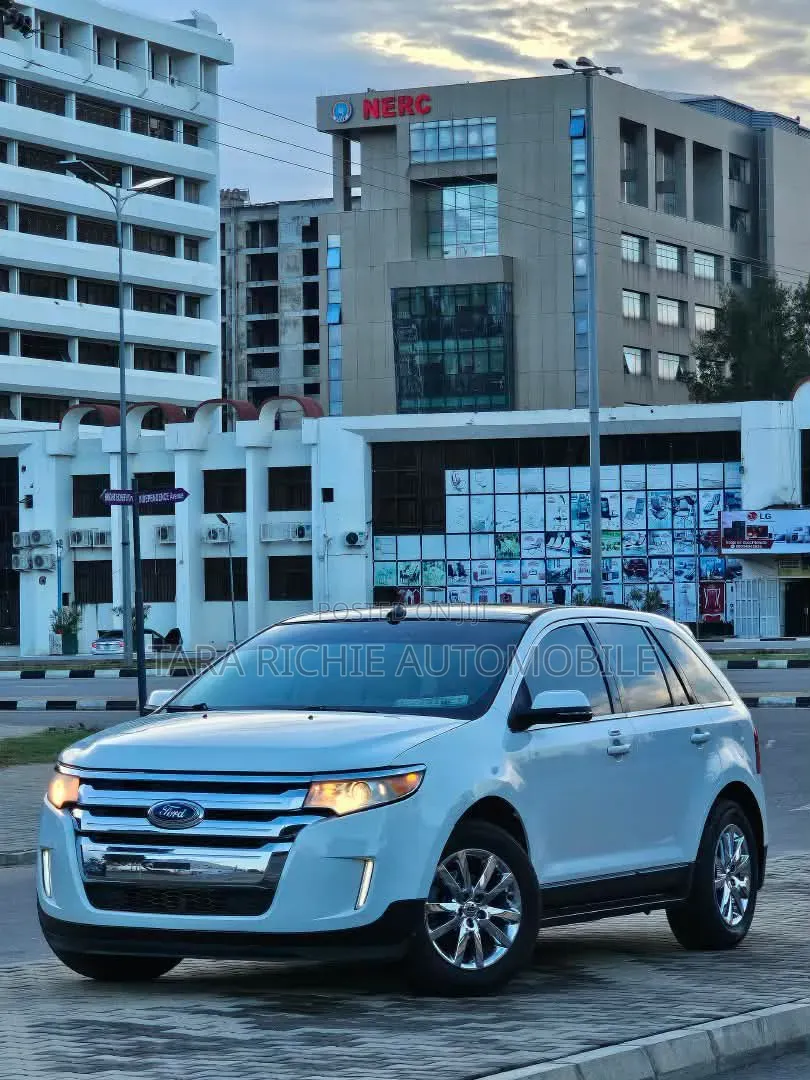 Ford Edge 2014 Silver